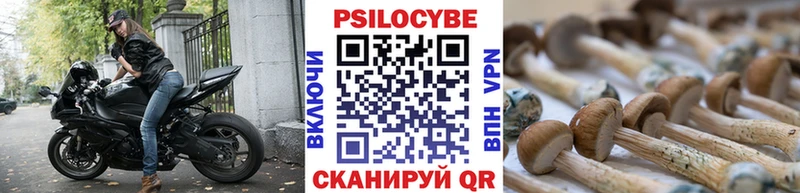 Купить  Лиски  Галлюциногенные грибы GOLDEN TEACHER 
